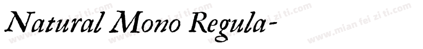 Natural Mono Regula字体转换